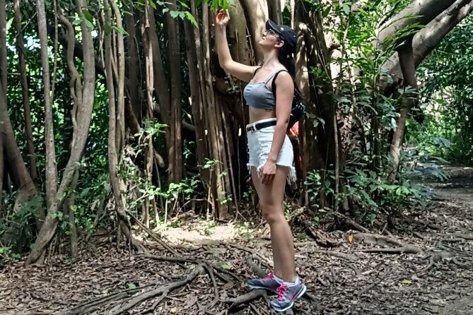 The Original Bicycle Tour in the Green Jungle of Bangkok - Why Bang Kachao is the Bangkok break you’ll remember