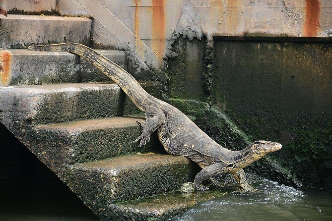 Timeless Thonburi Canal and Food Tour - Should you book it?