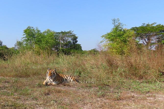 Tour of the Wildlife Rescue Center - Key highlights you’ll remember
