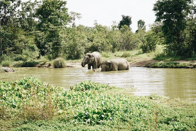 Tour of the Wildlife Rescue Center - Schedule and group size: how the 6 to 7 hours typically feels